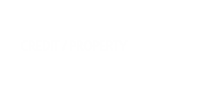 신용/재산조사